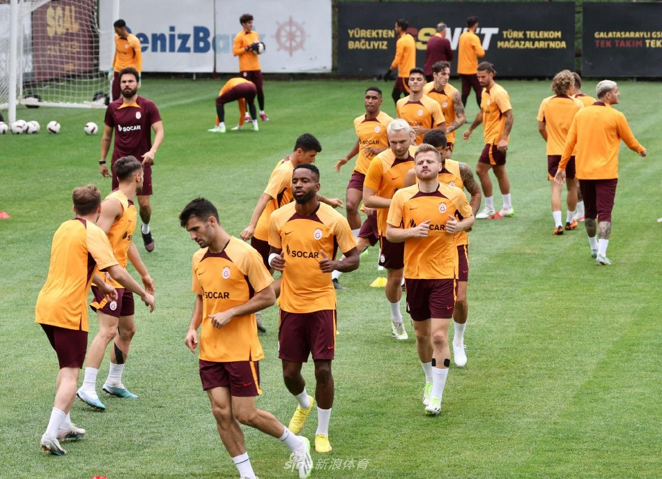 与森林狼的 与森林狼的